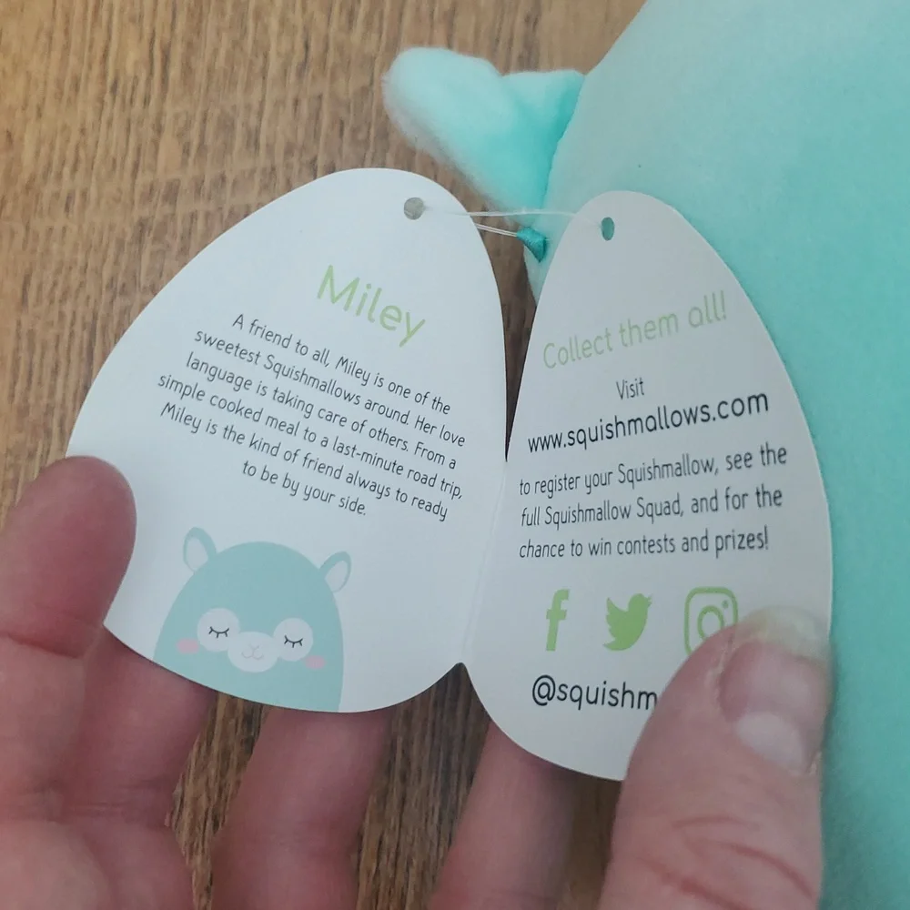 Squishmallows NWT Miley The Sleeping Llama In Teal‎ Size 8